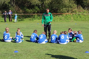 新西兰稳中求胜，晋级在望，新西兰站队了吗